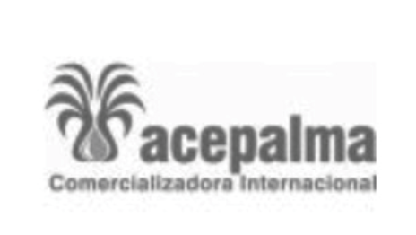 Captura de pantalla 2025-03-20 a la(s) 5.09.34 p.m.